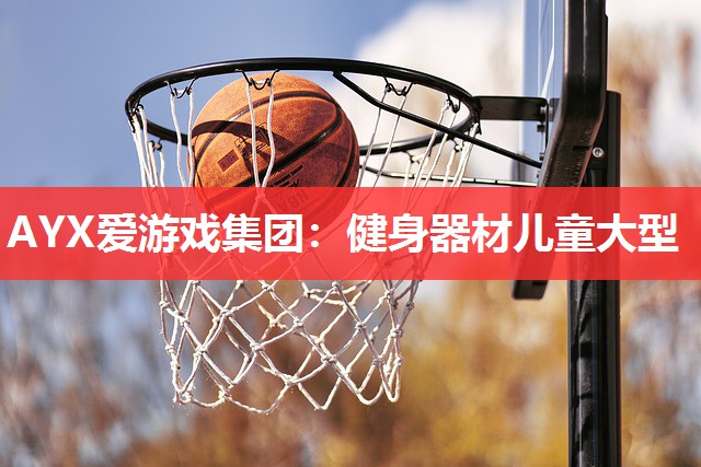 AYX爱游戏集团：健身器材儿童大型
