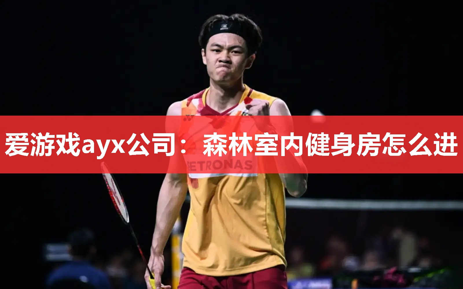 森林室内健身房怎么进