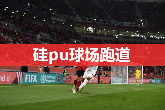 硅pu球场跑道 硅pu球场跑道