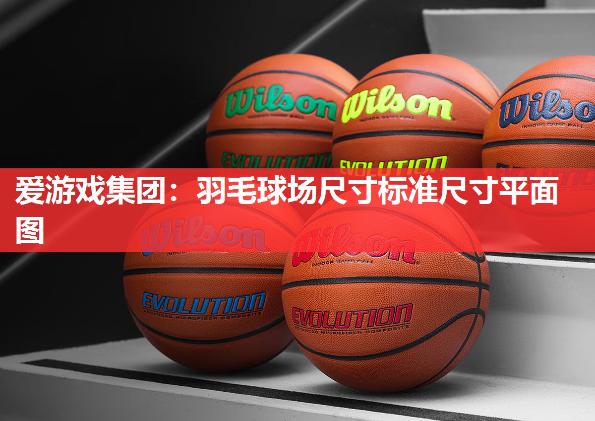 羽毛球场尺寸标准尺寸平面图 羽毛球场尺寸标准尺寸平面图
