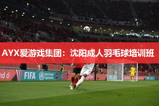 沈阳成人羽毛球培训班 沈阳成人羽毛球培训班